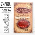 Кошельковый талисман: ложка загребушка «Процветания», 4,6 х 1,1 см. 1184194 - фото 10189233