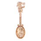 Кошельковый талисман: ложка загребушка «Денежная», 4.6×1.2 см - Фото 2