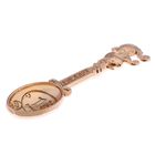 Кошельковый талисман: ложка загребушка «Денежная», 4.6×1.2 см - Фото 3