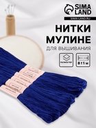 Нитки мулине №820, 8±1 м, набор 6 шт., тёмно-синие - Фото 1