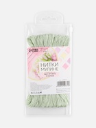 Нитки мулине №3064, 8±1 м, набор 6 шт., светло-зелёный - Фото 4