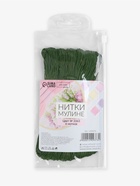 Нитки мулине №3363, 8±1 м, набор 6 шт., зелёный - Фото 5