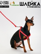 Комплект прошитый «Жираф», ширина 1 см, поводок 120 см, шлейка 23-35 см, красный - Фото 1