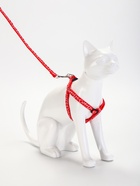 Комплект прошитый «Жираф», ширина 1 см, поводок 120 см, шлейка 23-35 см, красный - Фото 7