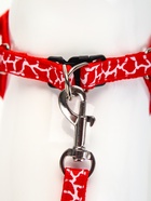 Комплект прошитый «Жираф», ширина 1 см, поводок 120 см, шлейка 23-35 см, красный - Фото 5