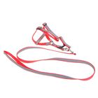 Комплект двухслойный светоотражающий, ширина 1,5 см, поводок 120 см, шлейка 34-57 см, красный 1219 - Фото 1