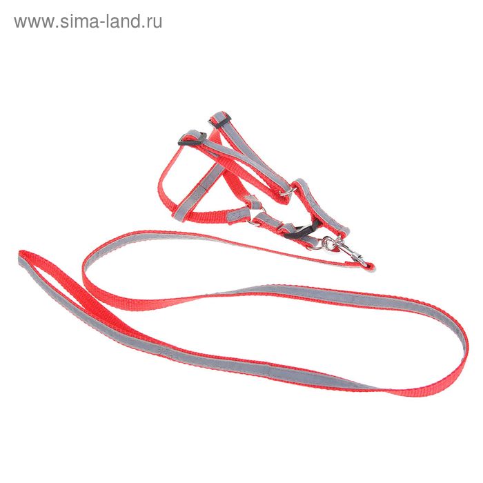 Комплект двухслойный светоотражающий, ширина 1,5 см, поводок 120 см, шлейка 34-57 см, красный 1219 - Фото 1