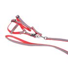 Комплект двухслойный светоотражающий, ширина 1,5 см, поводок 120 см, шлейка 34-57 см, красный 1219 - Фото 2