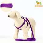 Комплект «Базис», поводок 120×1.5 см, ОГ 32-46 см, фиолетовый - Фото 1