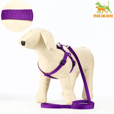 Комплект «Базис», поводок 120×1.5 см, ОГ 32-46 см, фиолетовый