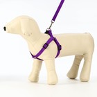 Комплект «Базис», поводок 120×1.5 см, ОГ 32-46 см, фиолетовый - Фото 3