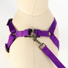 Комплект «Базис», поводок 120×1.5 см, ОГ 32-46 см, фиолетовый - Фото 4