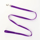 Комплект «Базис», поводок 120×1.5 см, ОГ 32-46 см, фиолетовый - Фото 6