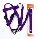 Комплект «Базис», поводок 120×1.5 см, ОГ 32-46 см, фиолетовый - Фото 7