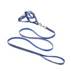 Комплект двухслойный светоотражающий, ширина 1,5 см, поводок 120 см, шлейка 34-57 см, синий 121991 - Фото 1