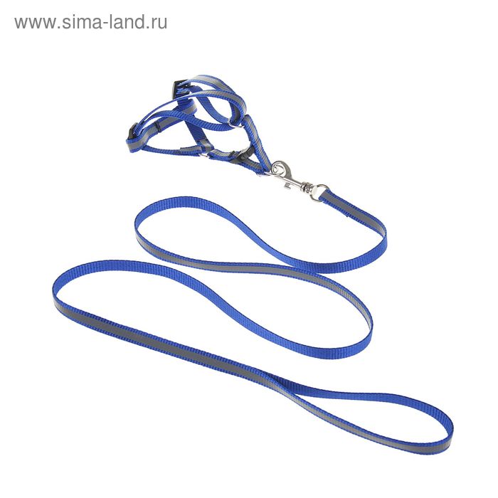 Комплект двухслойный светоотражающий, ширина 1,5 см, поводок 120 см, шлейка 34-57 см, синий 121991 - Фото 1
