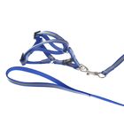 Комплект двухслойный светоотражающий, ширина 1,5 см, поводок 120 см, шлейка 34-57 см, синий 121991 - Фото 2