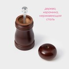 Мельница для специй Доляна «Дуновение леса», 10.5×4.5 см, керамический механизм, коричневая - Фото 2