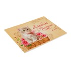 Альбом для рисования А5, 16 листов на скрепке "Котёнок в корзине", обложка мелованный картон, внутренний блок офсет 100 г/м² - фото 8269587