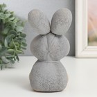 Растущий подарок травка "Заяц серый" - Фото 3