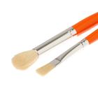 Набор кистей "Кроха", микс, "Альбатрос", 2 штуки: круглая, № 10 (шерсть козы), плоская № 10 - Фото 4