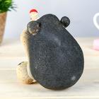 Растущий подарок травка "Еж" - Фото 11