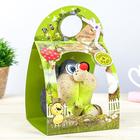 Растущий подарок травка "Еж" - Фото 14