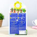 Растущий подарок травка "Еж" - Фото 17