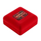 Медаль в бархатной коробке «Любимой воспитательнице», d=7 см - Фото 4