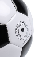 Мяч футбольный Minsa, TPU, машинная сшивка, 32 панели, р. 3 1220050