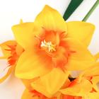 Цветы искусственные "Нарцисс" 60 см, жёлтый - Фото 2
