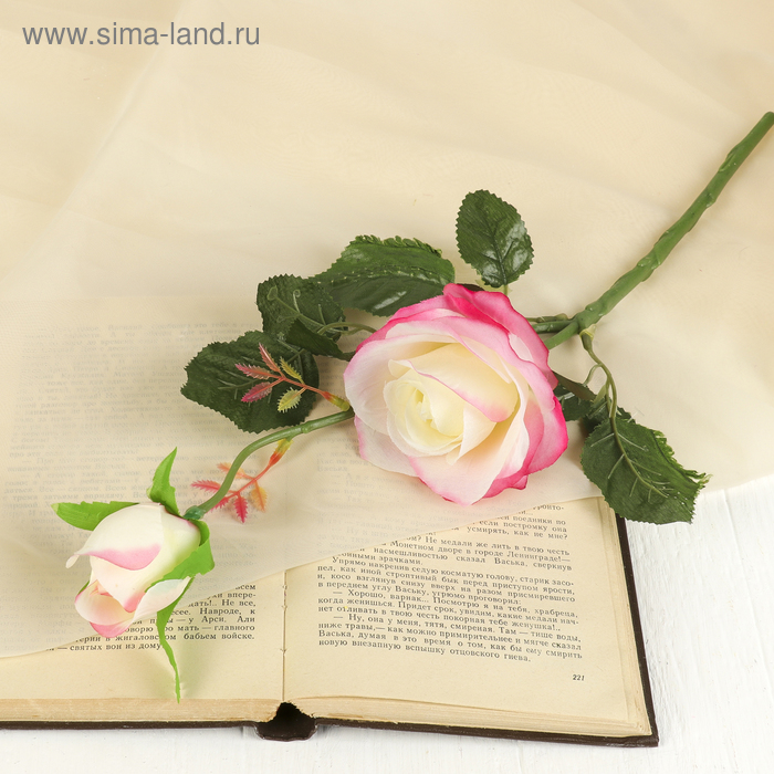 Цветы искусственные "Уральская роза" бело-розовая 45 см - Фото 1
