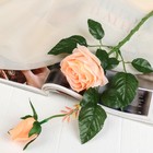 Цветы искусственные "Уральская роза" персиковый 45 см - Фото 1