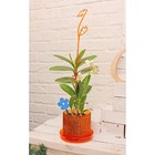 Опора для орхидеи 60 см, цвет синий - Фото 2