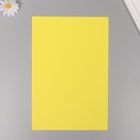 Фоамиран "Солнечный" 2 мм (набор 5 листов) формат А4 - Фото 2