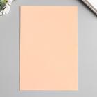 Фоамиран "Персик" 2 мм (набор 5 листов) формат А4 - Фото 2