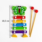 Игрушка музыкальная Металлофон «Бабочка», 5 тонов - Фото 4