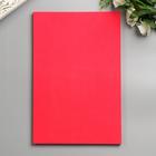 Фоамиран «Рубин», 2 мм, (набор 5 листов), формат А4 - Фото 3