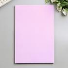 Фоамиран "Нежная сирень" 2 мм (набор 5 листов) формат А4 - Фото 3