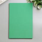 Фоамиран «Изумрудный», 2 мм, (набор 5 листов), формат А4 - Фото 3
