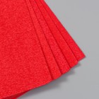 Фоамиран махровый "Красный" 2 мм (набор 5 листов) формат А4 - фото 8269910