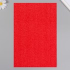Фоамиран махровый "Красный" 2 мм (набор 5 листов) формат А4 - фото 8269911