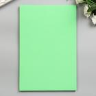 Фоамиран «Яркий салат», 2 мм, (набор 5 листов), формат А4 - Фото 2