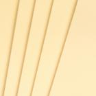 Фоамиран "Сливки" 2 мм (набор 5 листов) формат А4 - Фото 2