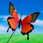 Штекер "Бабочка" 8х10см, длина 25см, микс - Фото 1