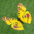 Штекер "Бабочка" 8х10см, длина 25см, микс - Фото 21