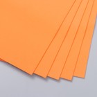 Фоамиран "Апельсин" 2 мм (набор 5 листов) формат А4 - фото 8269957