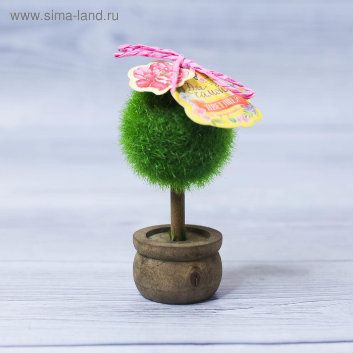 Декоративное мини–дерево «Для самой цветущей», 11.2 × 7.2 см - Фото 1