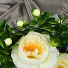 Букет «Очарование» розы - Фото 2