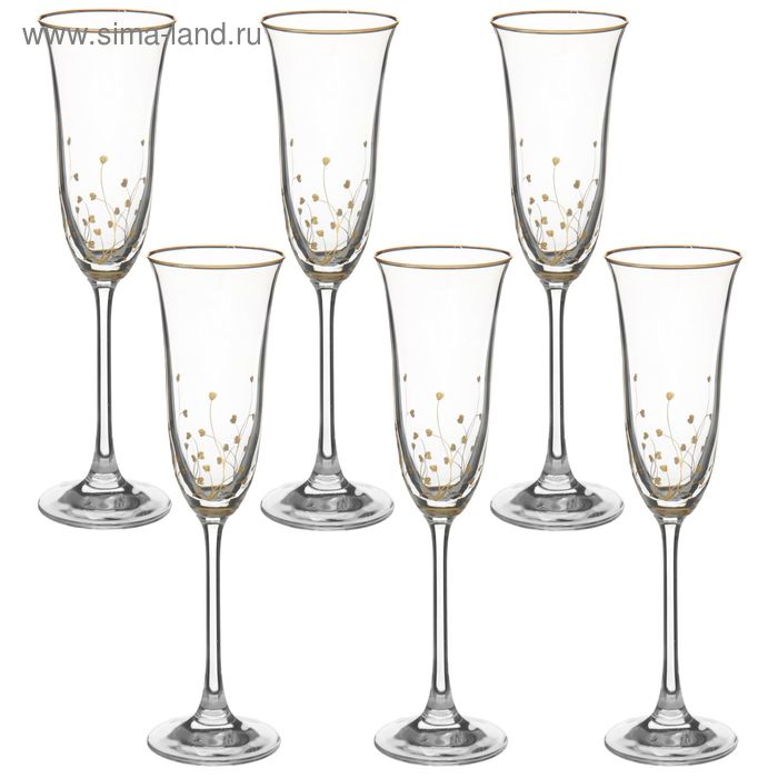Набор бокалов для шампанского 160 мл "Травка", 6 шт - Фото 1